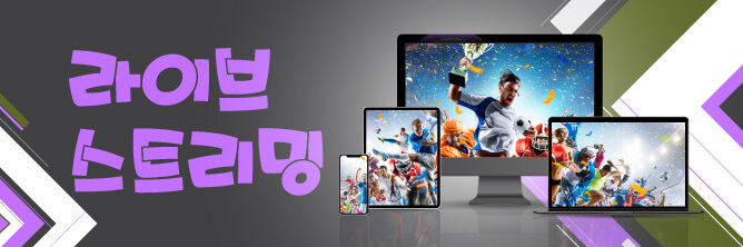 라이브스트리밍